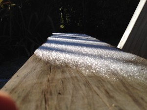 Taupo - Mt Egmont-010